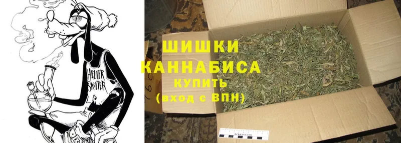 Конопля SATIVA & INDICA  Апатиты 